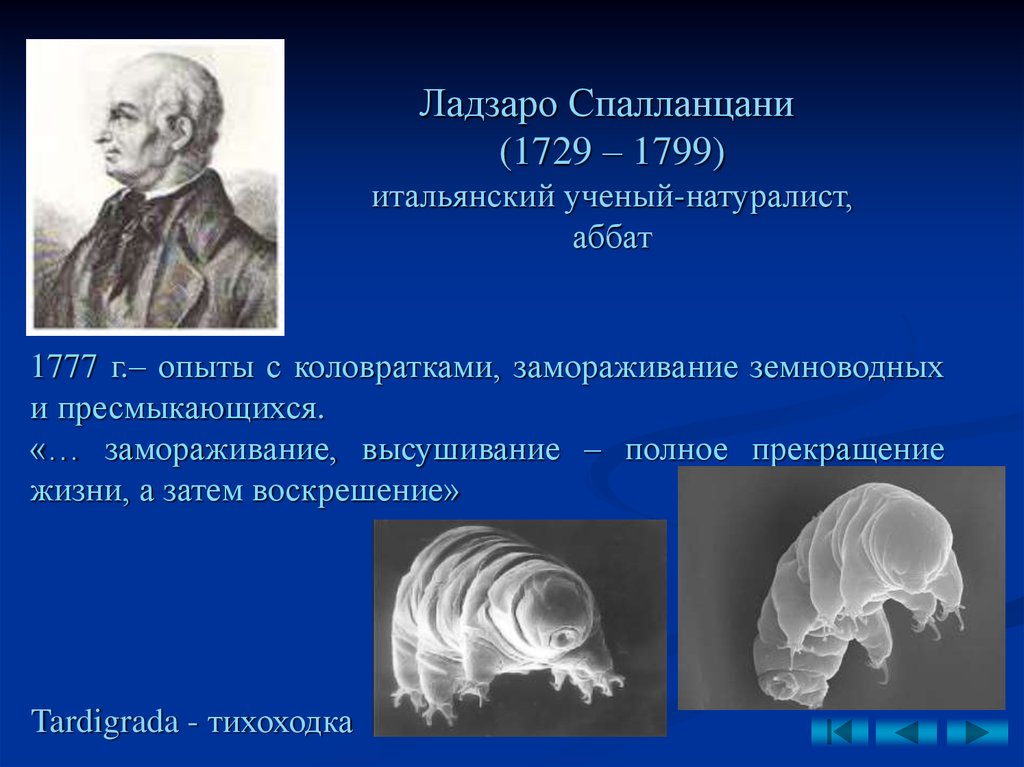 Какой ученый открыл мир простейших. Ладзаро Спалланцани опыт. Ладзаро Спалланцани натуралист. Л. Спалланцани опыт. Ладзаро Спалланцани опыт с бульоном.