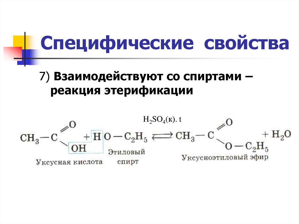 Уксусная кислота взаимодействует с этанолом