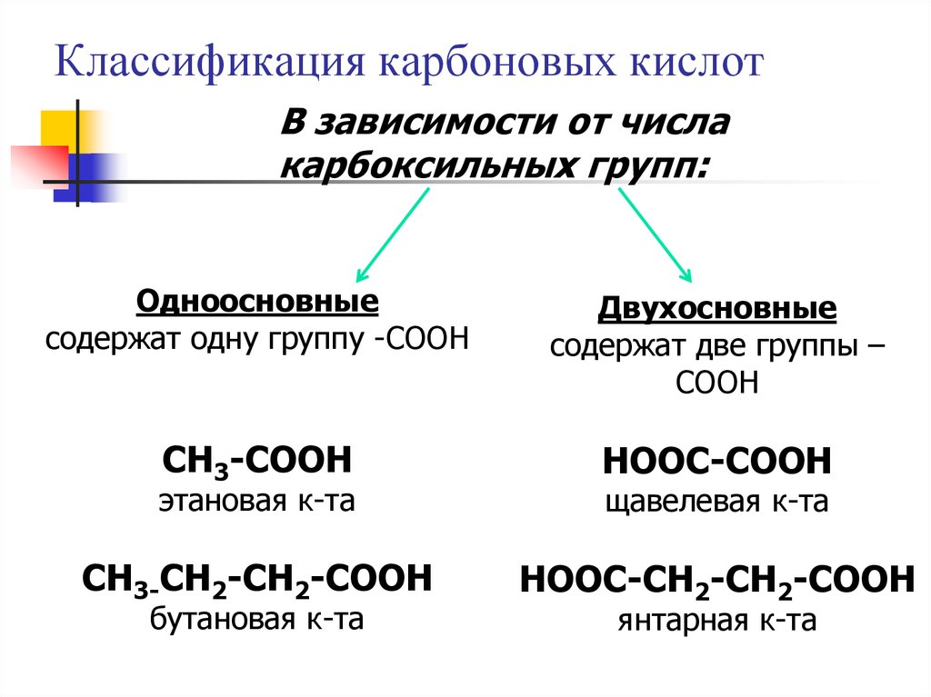 Вещества относящиеся к классу карбоновых кислот