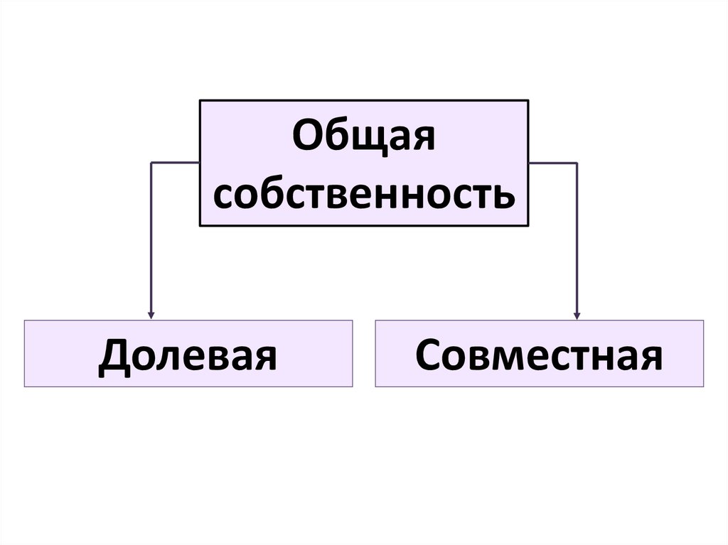 Общая долевая собственность