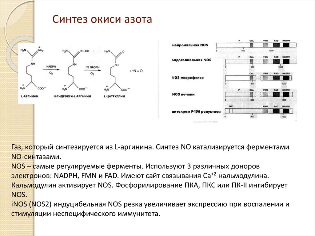 Азот необходим для синтеза