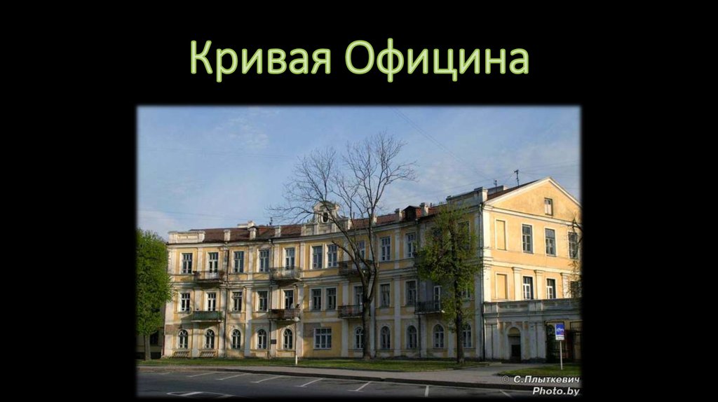 Кривая Официна