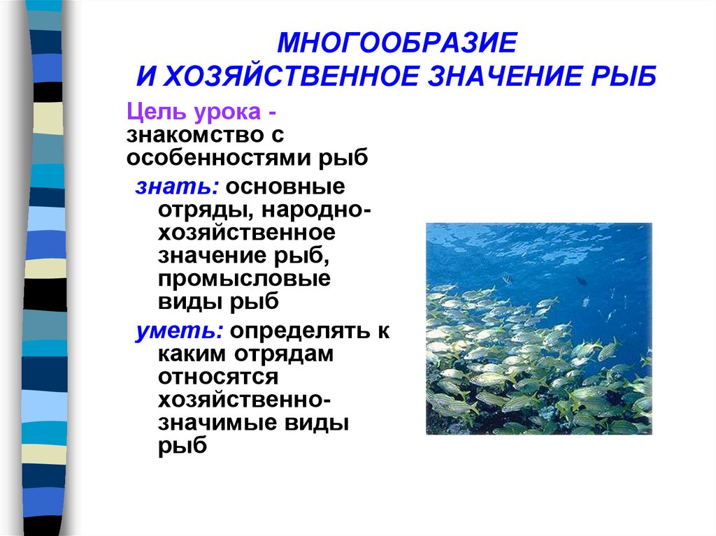 Значение рыб в природе сообщение