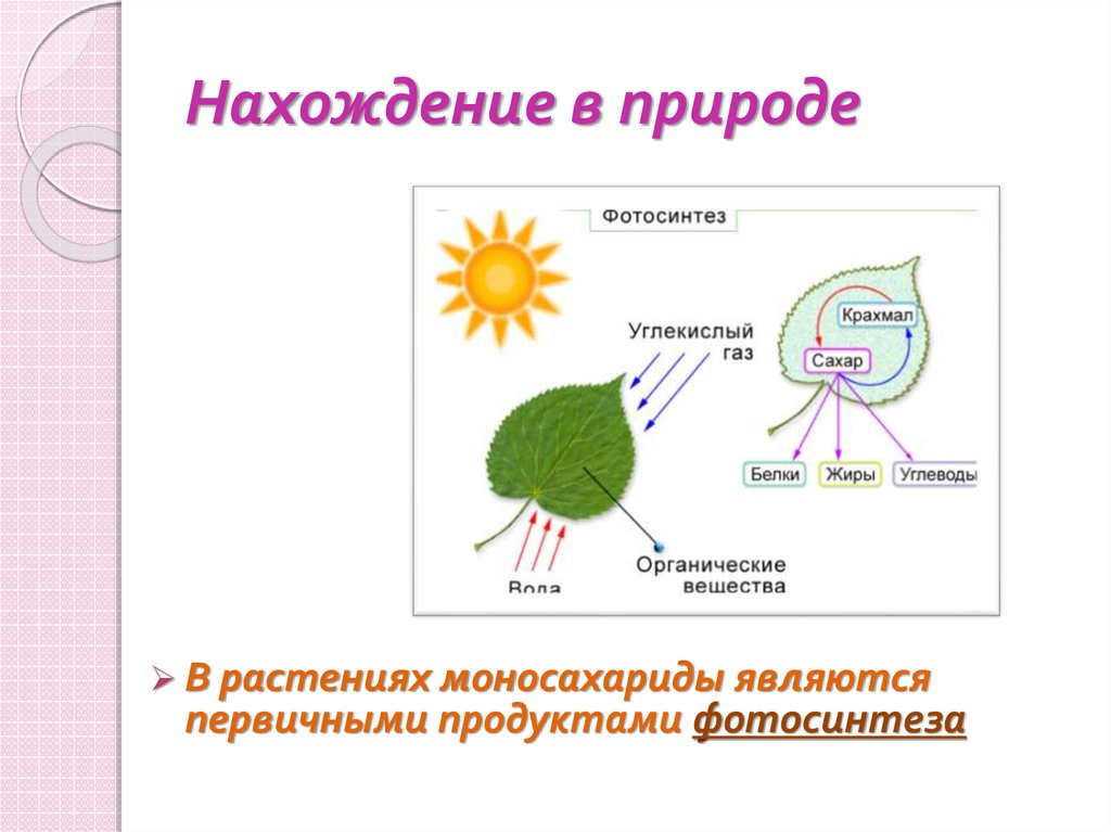 В результате фотосинтеза образуются белки. Процесс фотосинтеза рисунок 6 класс. Фотосинтез растений 6 класс биология. Фотосинтез схема. Схема процесса фотосинтеза.