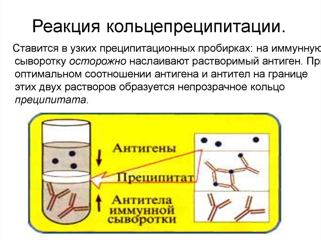 Реакция преципитации презентация