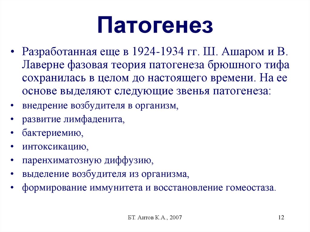 Схема патогенеза брюшного тифа