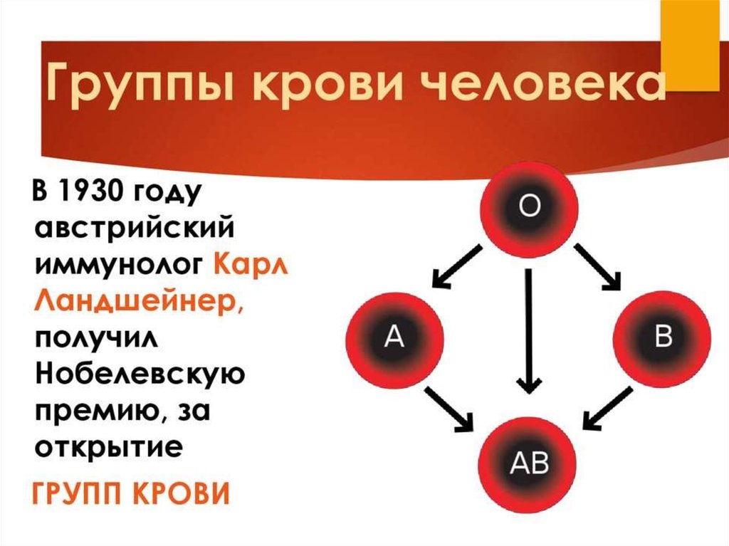 Группа крови - online presentation