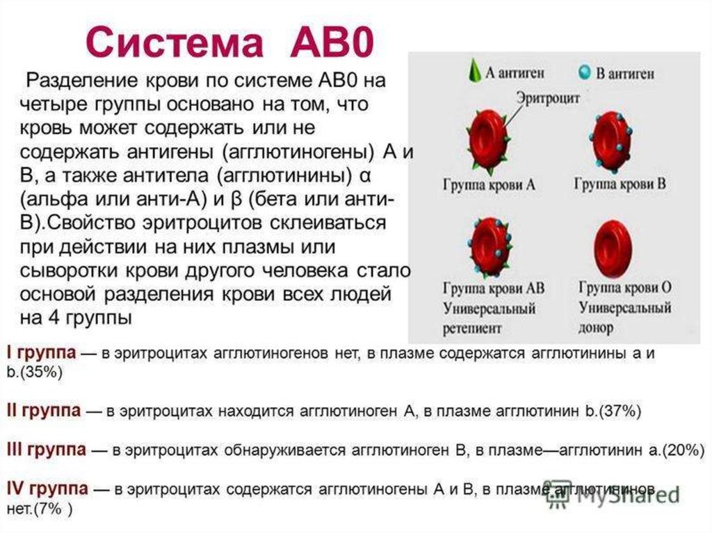 Сколько процентов крови 4. Группа крови принцип разделения. Антигены эритроцитов человека (система ав0).. Группы крови человека системы АВО. Антиген и агглютиноген в группах крови.