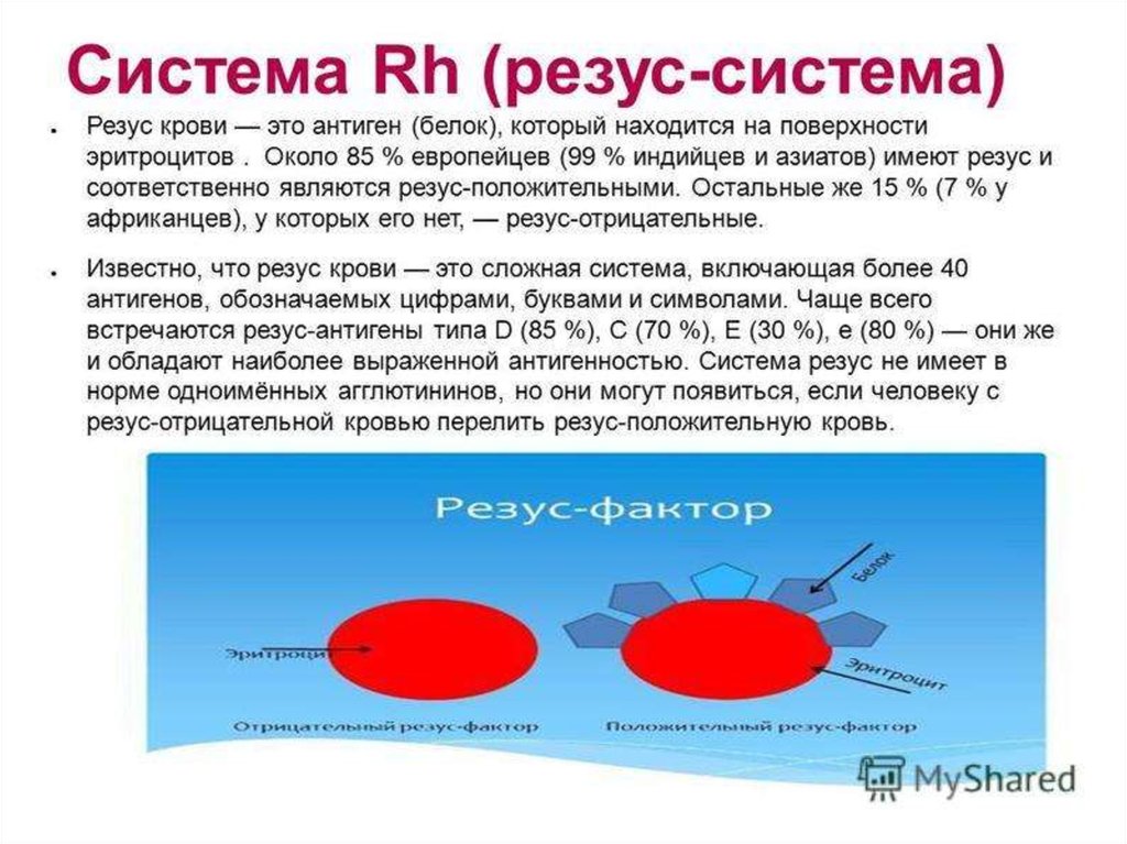 Что значит резус крови. Группы крови человека: система резус-фактора.. Резус-фактор крови положительный. Система rh эритроцитов резус фактор. Резус антигенная система крови.
