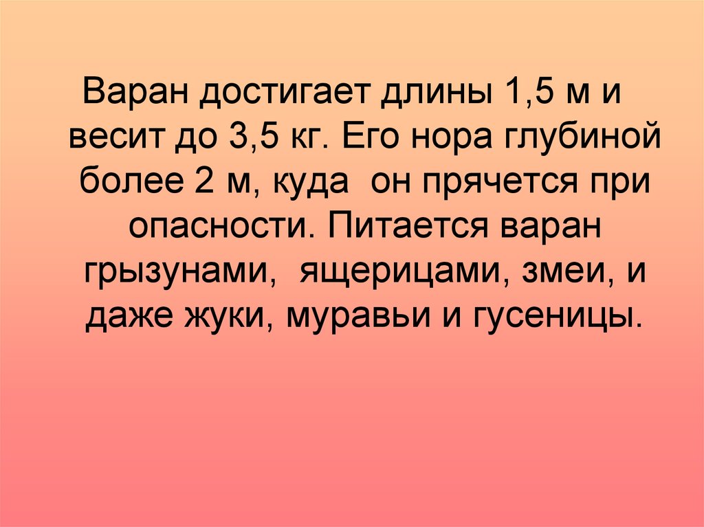 Достигает длины. Варан Умра. Варан Умра лекарство. Варан Умра лекарство состав. Варан Умра лекарство отзывы.