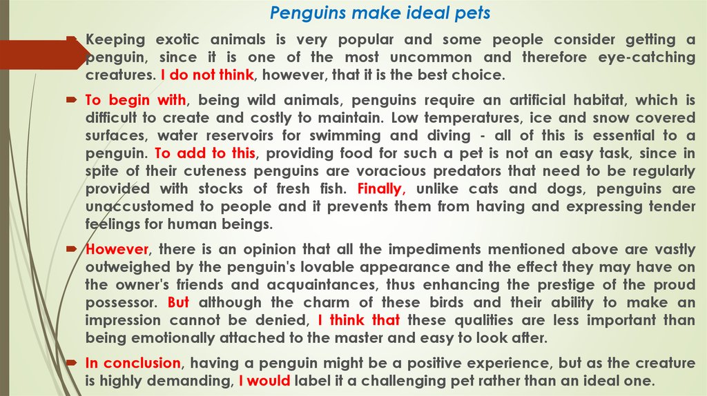 paragraph on my unusual pet