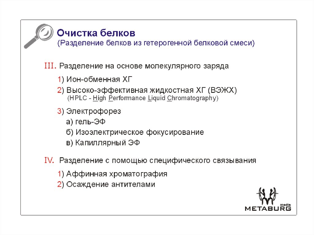 Очистка белков (Разделение белков из гетерогенной белковой смеси ...