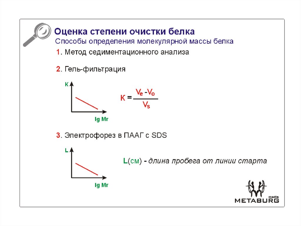 Очистка белков (Разделение белков из гетерогенной белковой смеси ...
