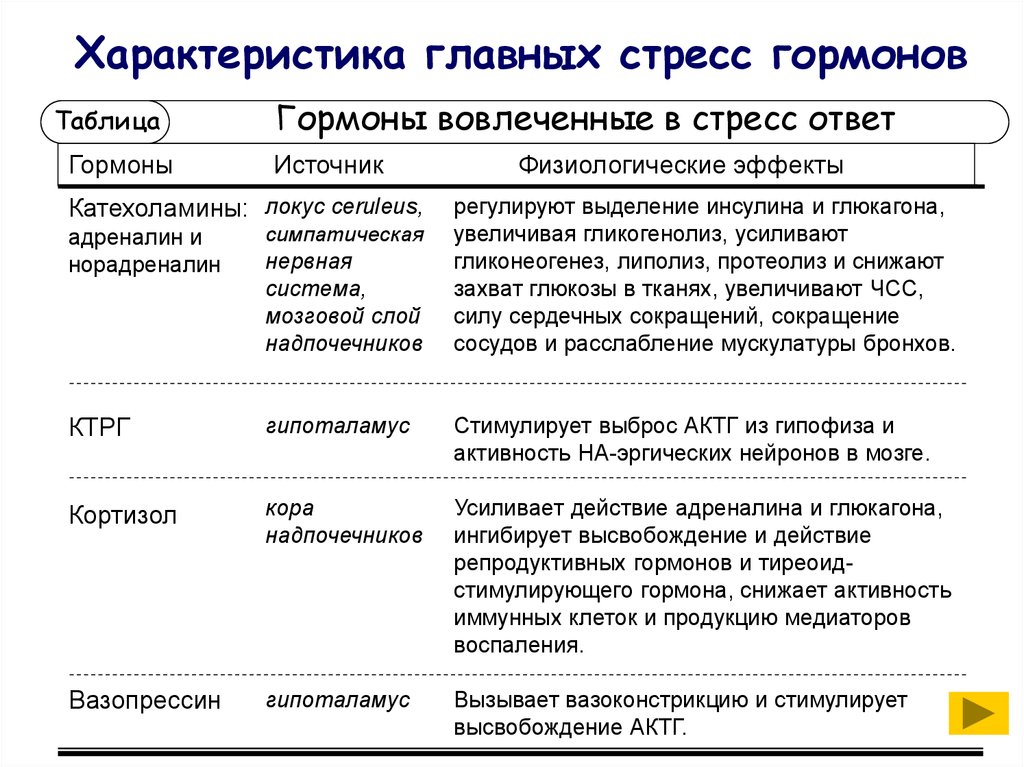 Гормон стресса у мужчин