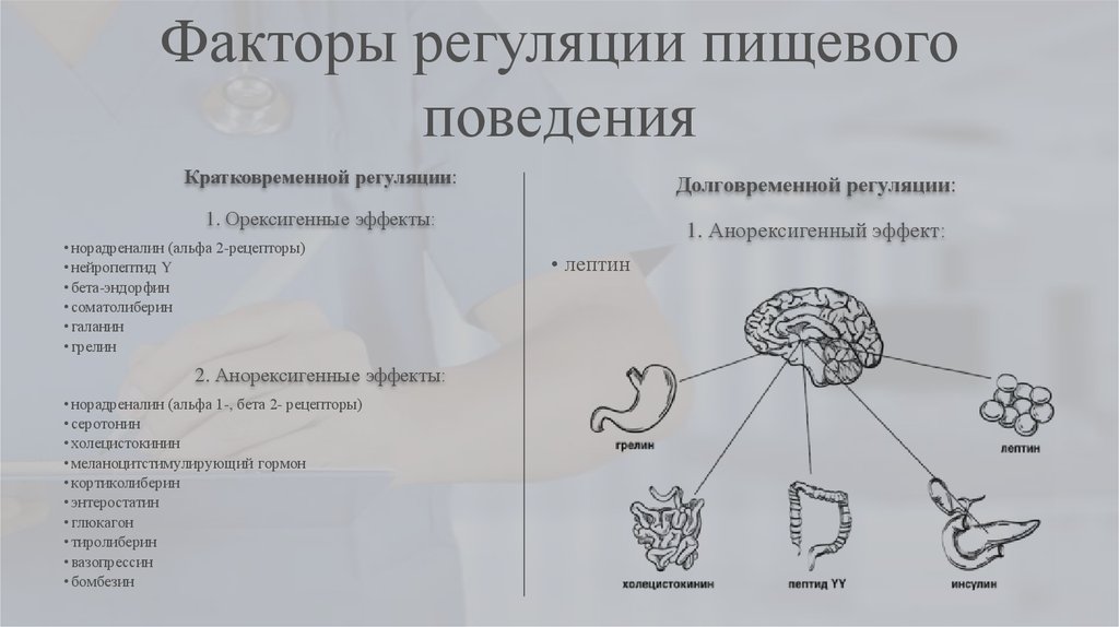 Схема регуляции пищевого поведения