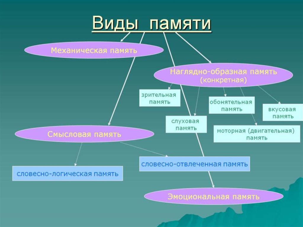 Виды памяти