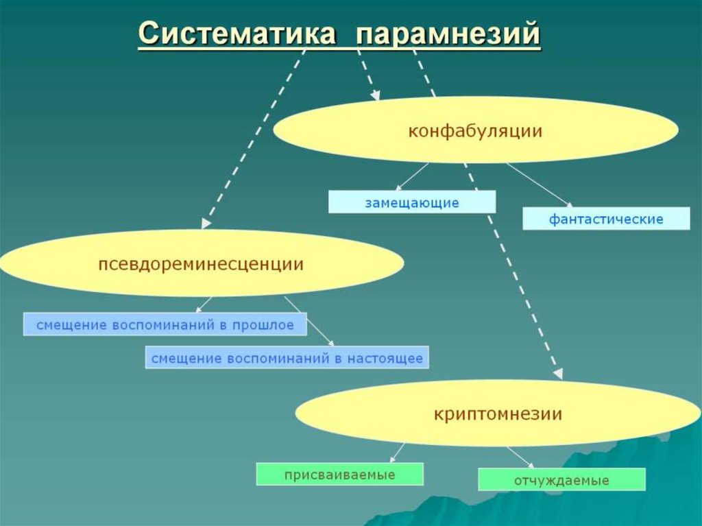 Систематика парамнезий