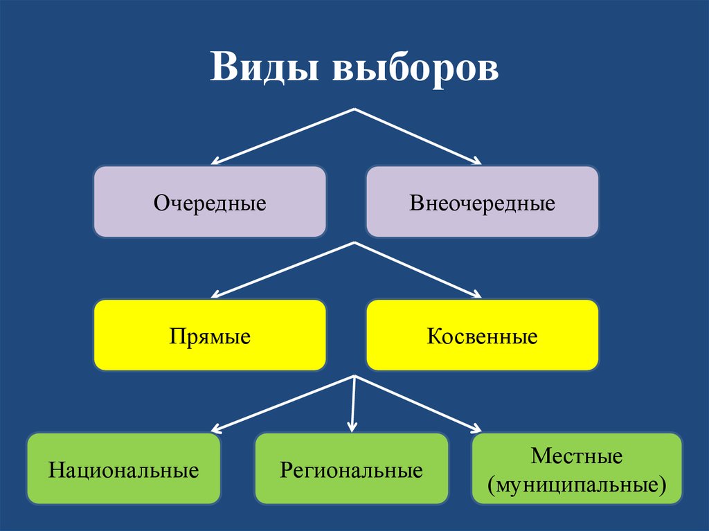 Виды выборов картинки