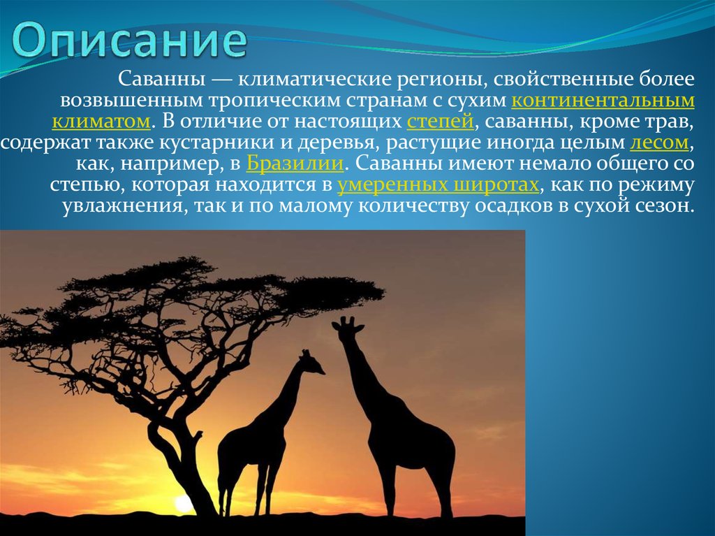 Описание саванны по плану 6 класс география