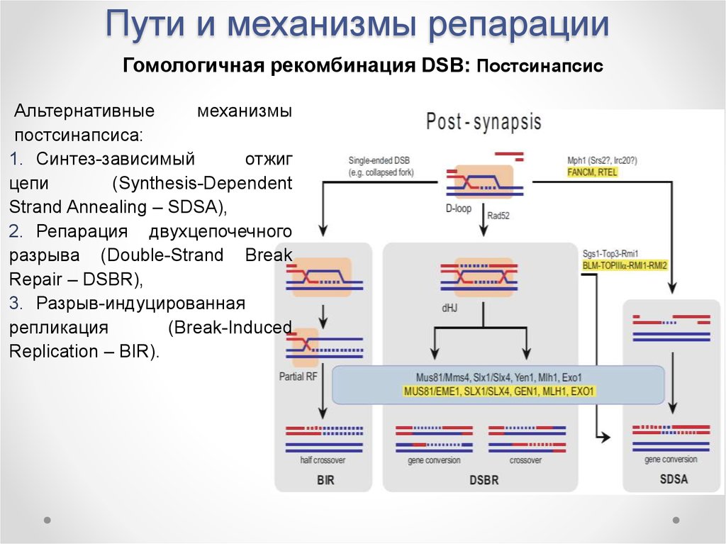 Источник взимания репараций по плану юнга