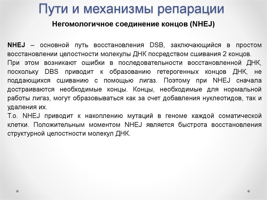 Конец соединения. Негомологичное соединение концов. Негомологичное соединение концов ДНК. Репарации в международном праве. Репарации что это такое простыми словами.