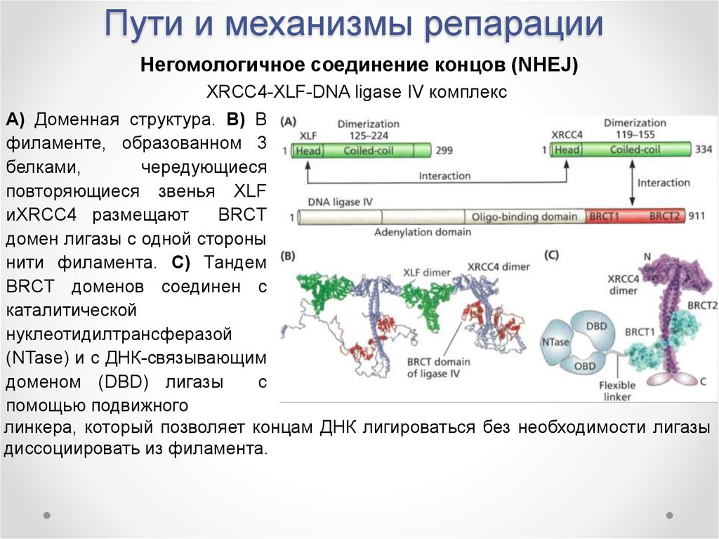 Источник взимания репараций по плану юнга