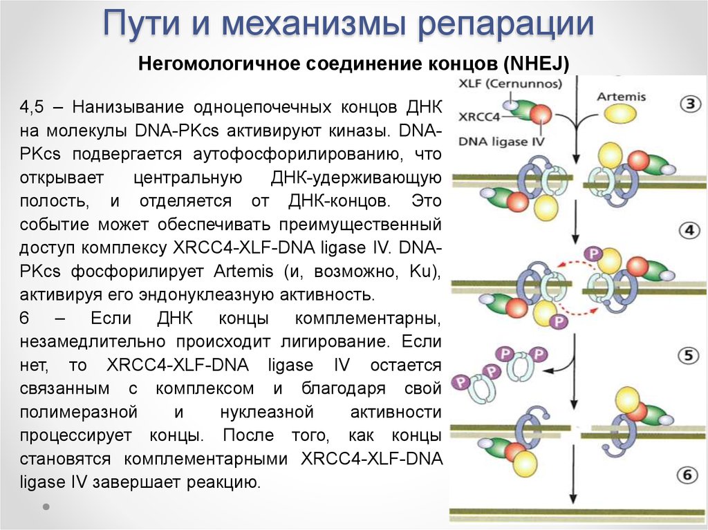 Источник взимания репараций по плану юнга