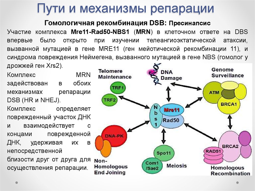 Источник взимания репараций по плану юнга