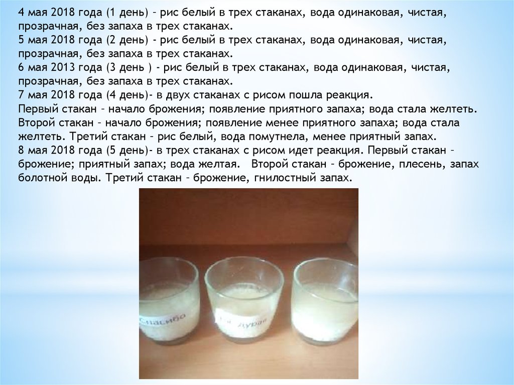 Рис 2 стакана сколько воды нужно. Стакан риса стакан воды. 2/3 Стакана риса. Соотношение риса и воды в стаканах.
