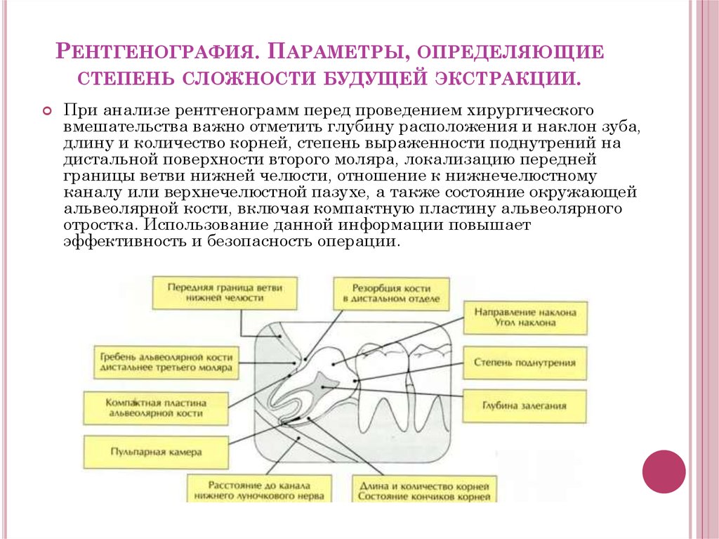 Третье положение