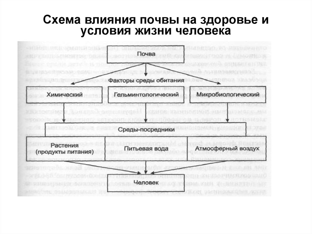 Влияние почв. Влияние загрязнения почвы на здоровье человека. Влияние загрязнителей на организм человека почвы. Схема воздействия. Значение почвы схема.