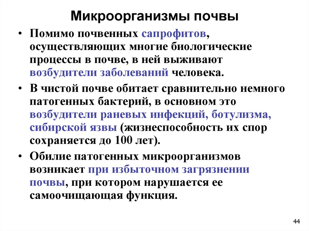 Инфекции в почве. Микроорганизмы в почве. Почвенная микробиология. Микрофлора почвы бактерии. Патогенные почвенные микроорганизмы.