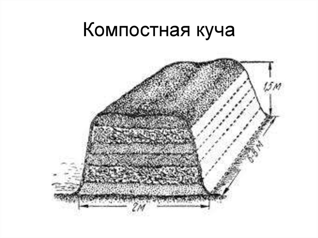 Размеры кучи. Компостирование ТБО схема. Компостирование навоза схема. Компостная куча схема. Бурты для навоза.