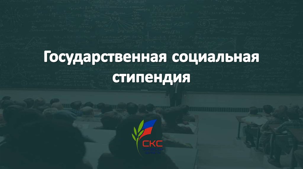 Социальная стипендия картинка