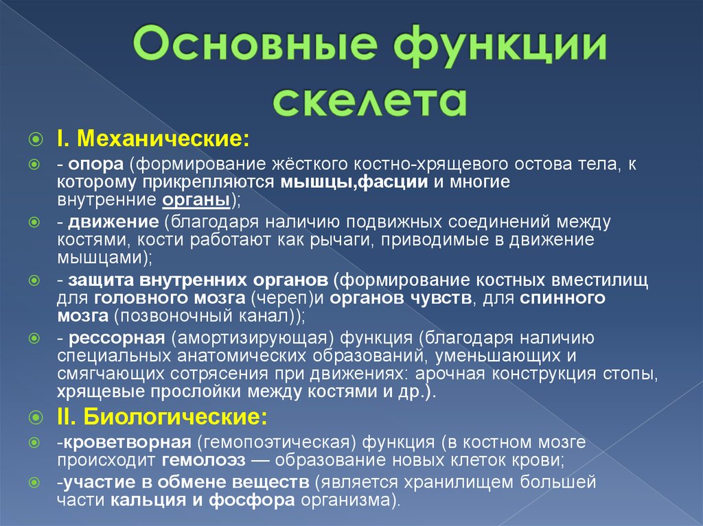 Возможность биологический. Основные функции скелета. Основные функции скелеат. Биологические функции костей. Механические функции скелета.