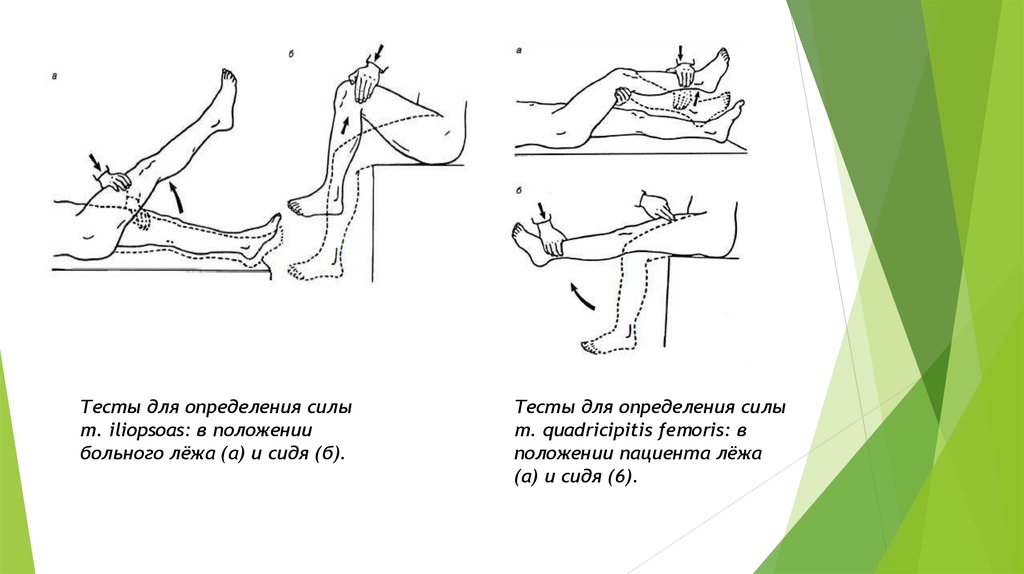 Положение сил. Оценка мышечной силы бедер. Тесты для определения силы. Методы исследования силы мышц. Определение силы мышц.