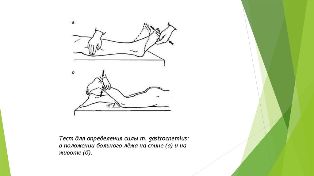 Тест м. Тесты для определения силы. Положение пациента лежа на спине. Тест для определения силы ног. Методы исследования объема движений мышц.