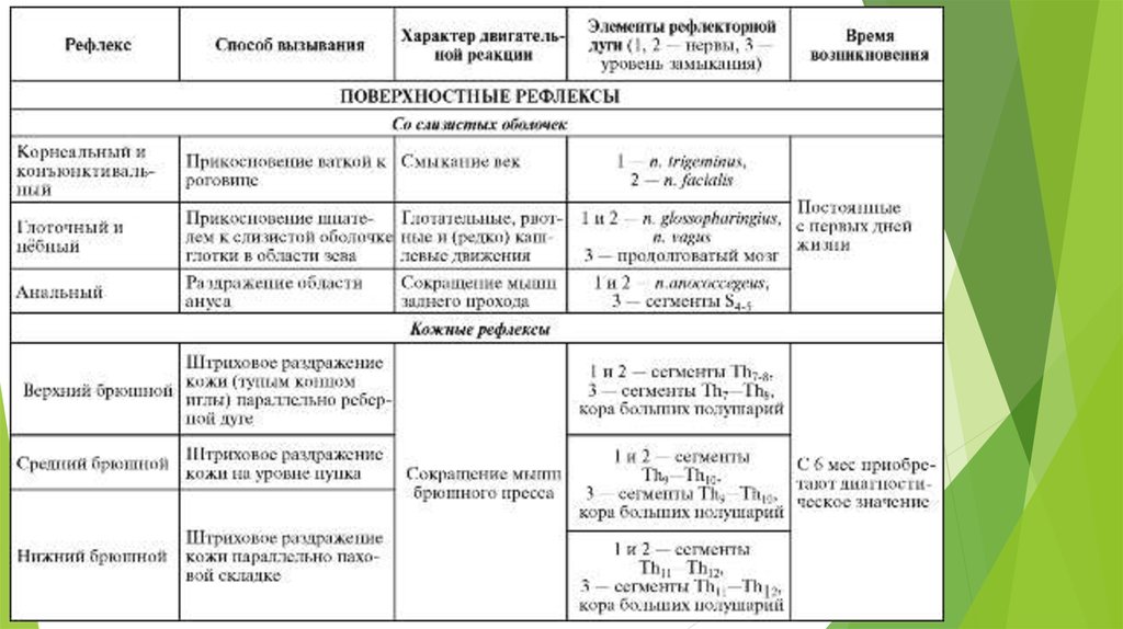 Исследование кожных рефлексов. Таблица по неврологии рефлексы. Сухожильгые рефлексы таблица. Уровни замыкания рефлексов неврология таблица. Уровни замыкания сухожильных рефлексов.