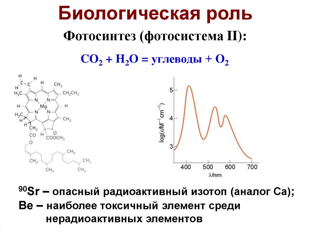 Самый опасный радиоактивный элемент. Наиболее опасный радиоактивный изотоп. Самый токсичный элемент. Опасные радиоизотопы.