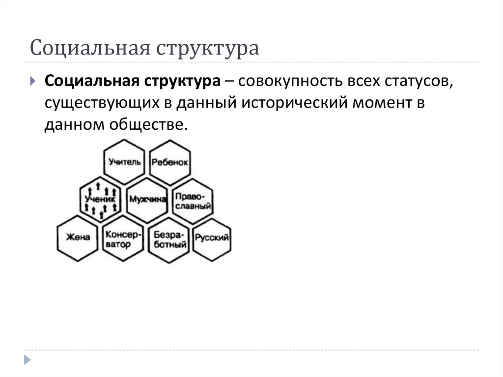 Структура 3 социальная структура. Социальная структура университета. Социальная структура Казахстана. Социальная структура Испании. Структура социального статуса.