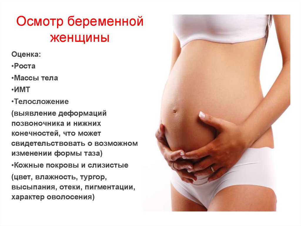 Как отличить беременную. Осмотр беременной. Оценка состояния беременной. Обследование беременных женщин. Осмотр беременных женщин.