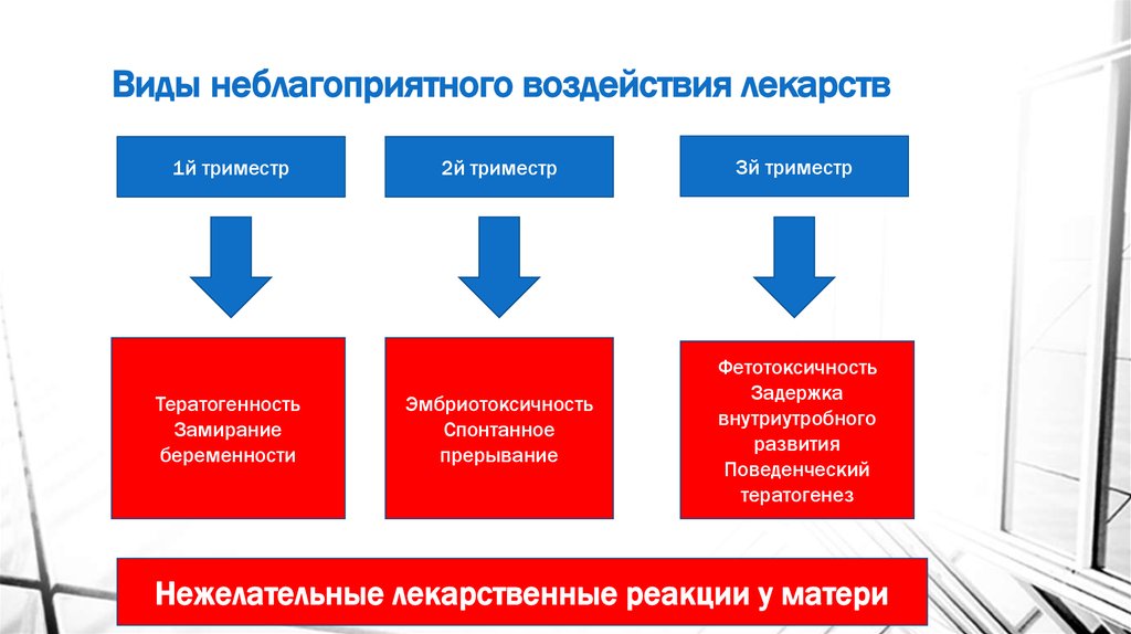 Виды опасных воздействий. Реакции вида на неблагоприятное воздействие. Ве основные формы реакции вида на неблагоприятное воздействие..