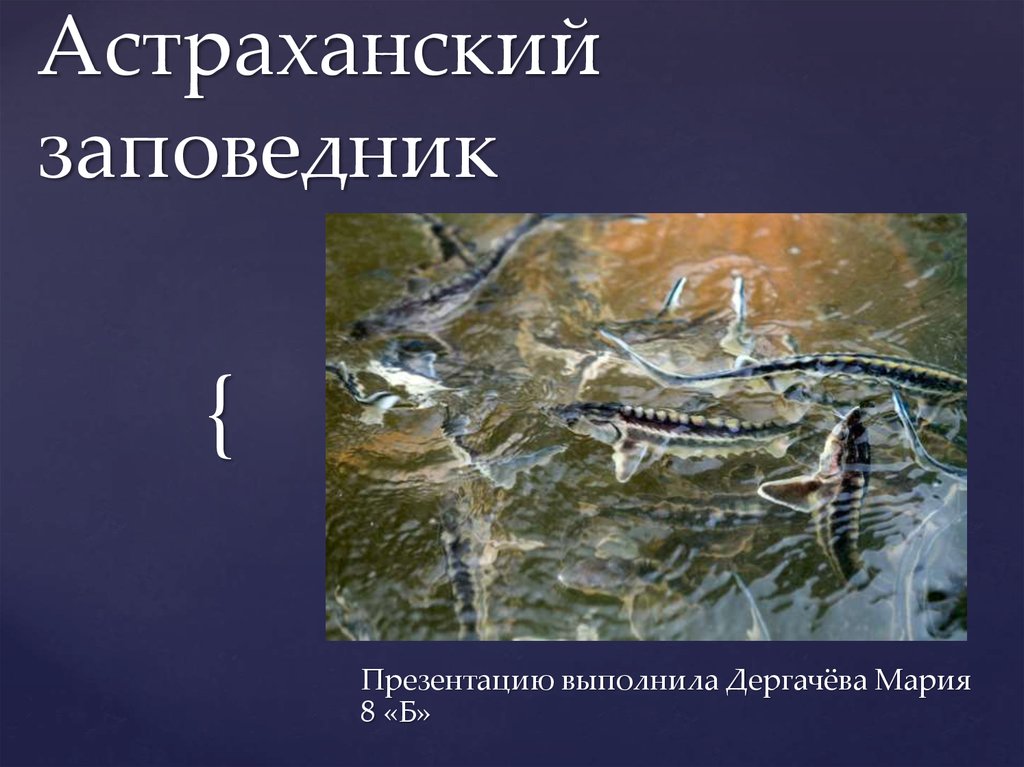 Астраханский заповедник особенности. Астраханский заповедник презентация. Презентация по заповедникам Астраханский. Заповедники в Астраханской области название.