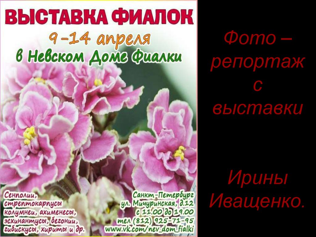 Фото –репортаж с выставки Ирины Иващенко.