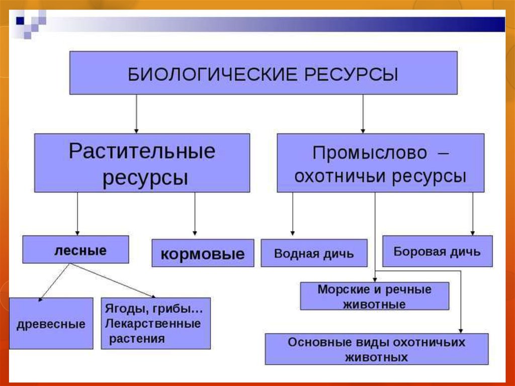 Биологические ресурсы презентация