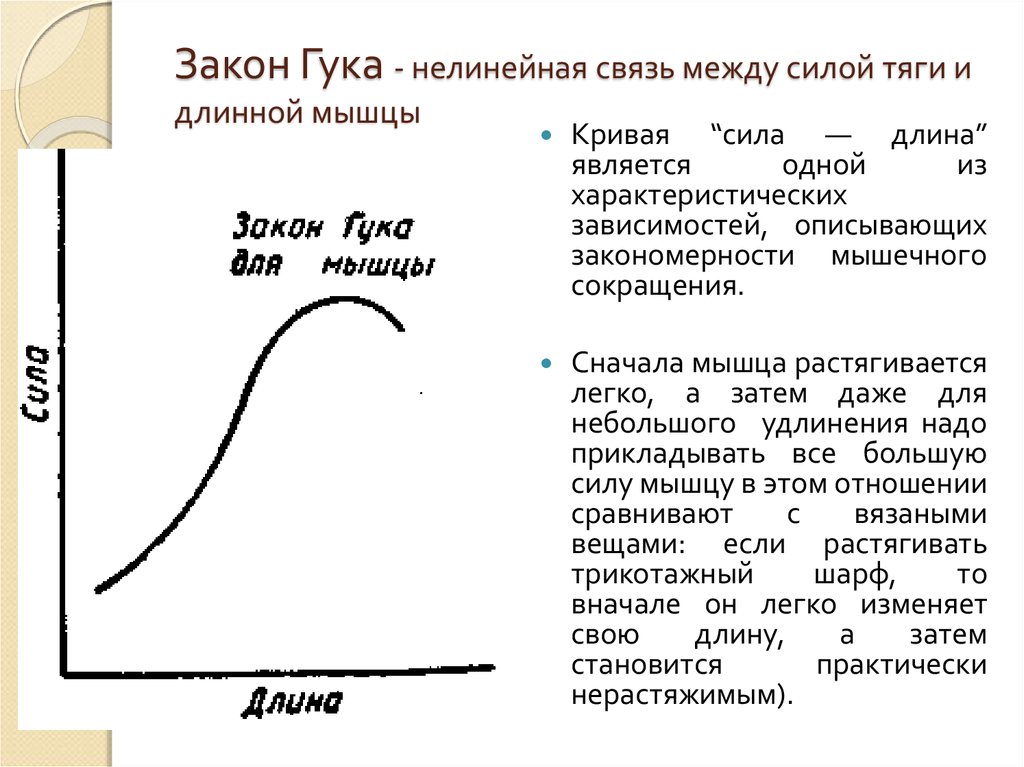 Сначала длина