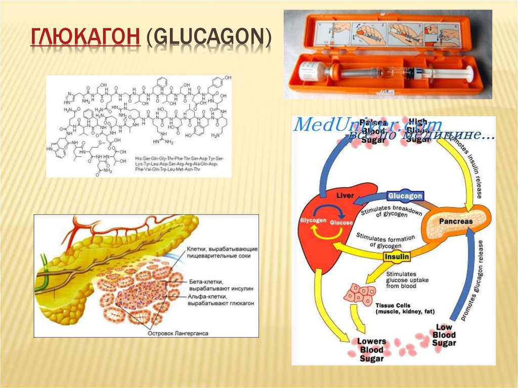 Глюкагон это гормон. Гипосекреция глюкагона. Строение глюкагона формула. Препараты гормонов глюкагон. Строение инсулина и глюкагона.