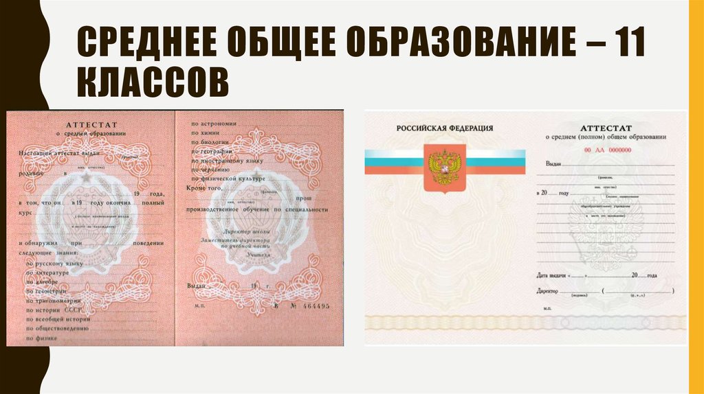 Среднее общее образование какие классы. Среднее общее образование это. Образование после 11 класса. Название образования после 11 класса. 11 Классов это среднее общее образование.