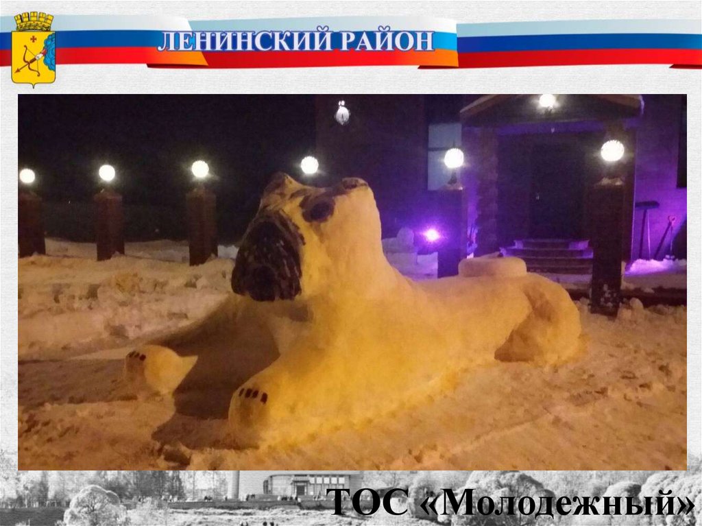 ТОС «Молодежный»