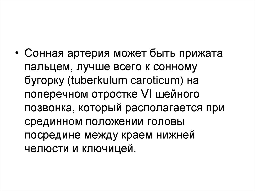 Клиническая анатомия челюстно-лицевой области - презентация онлайн